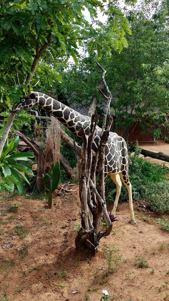 Hostal Elephant Trail Guesthouse And Backpackers