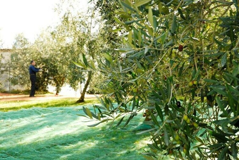Hotel Podere Jana