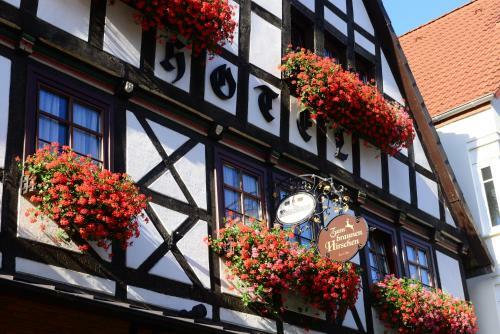 Hostal Hotel Zum Braunen Hirschen