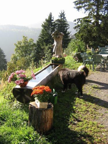 Hostal Berggasthaus Pr�ger B�den