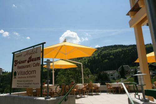 Hostal Vital Hotel Gr�ner Baum