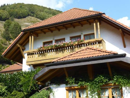 Apartment Brandenberg Todtnau