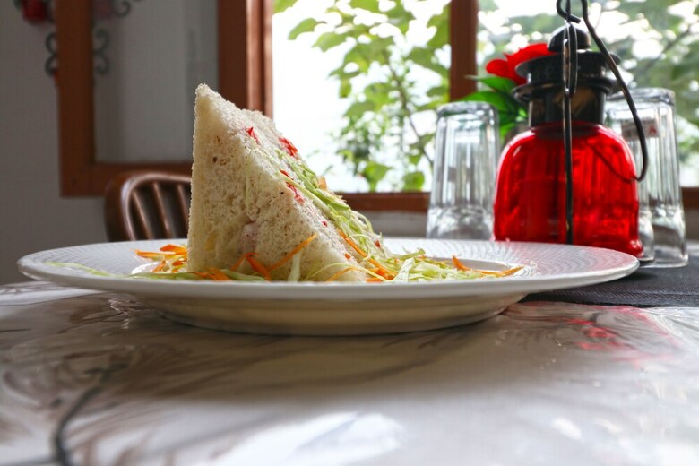 Hotel Trimrooms Manali