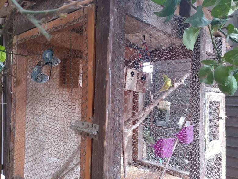 Apartamento Assaf's Cabin