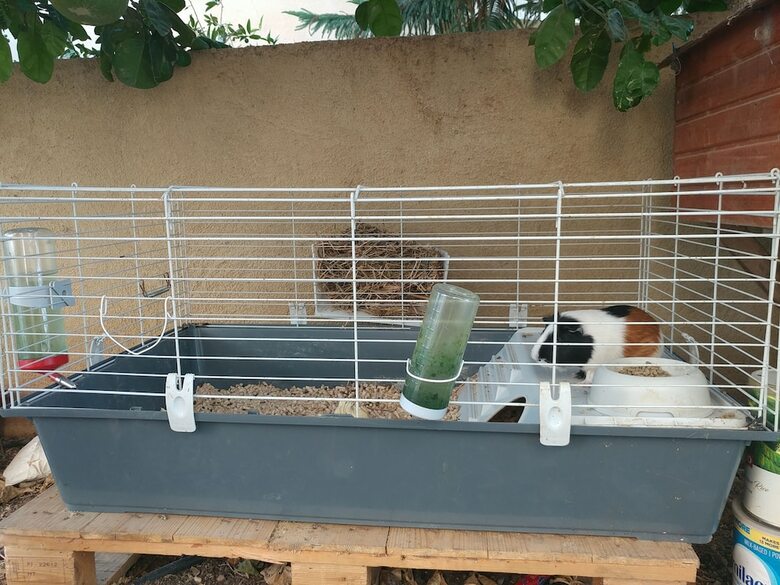 Apartamento Assaf's Cabin