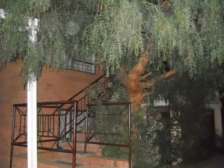Noble Hearts Bed And Breakfast