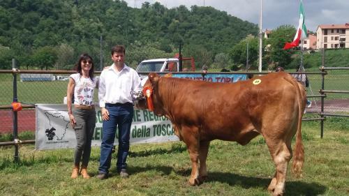 Agroturismo Trebbiolo