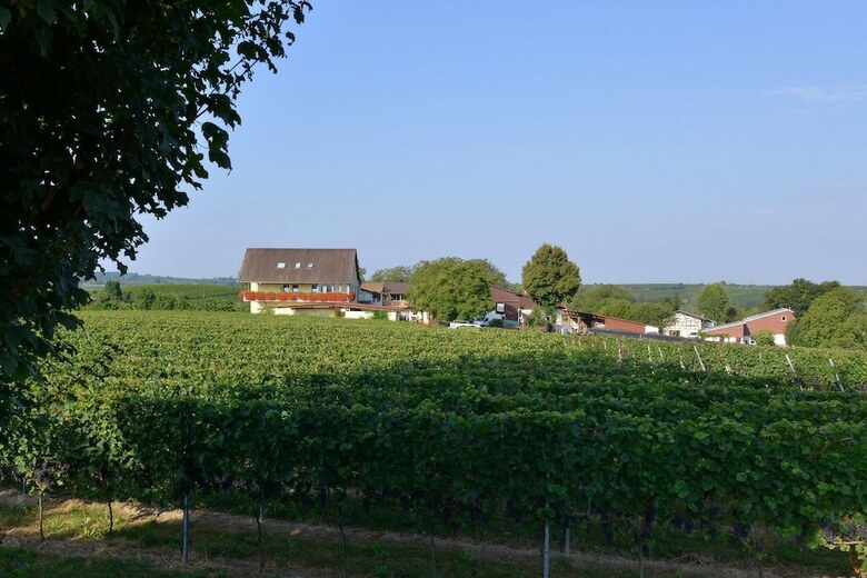 Hotel Ferienhof Walter