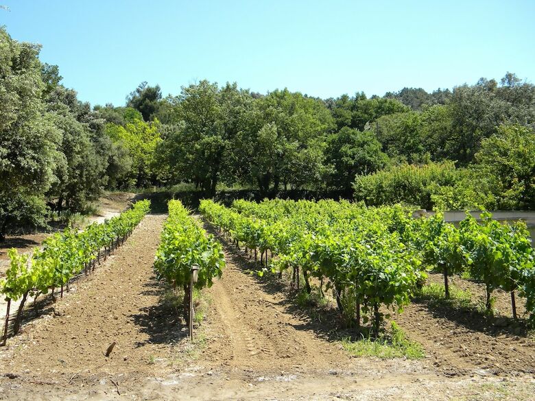 G�tes La Bastide Jourdan