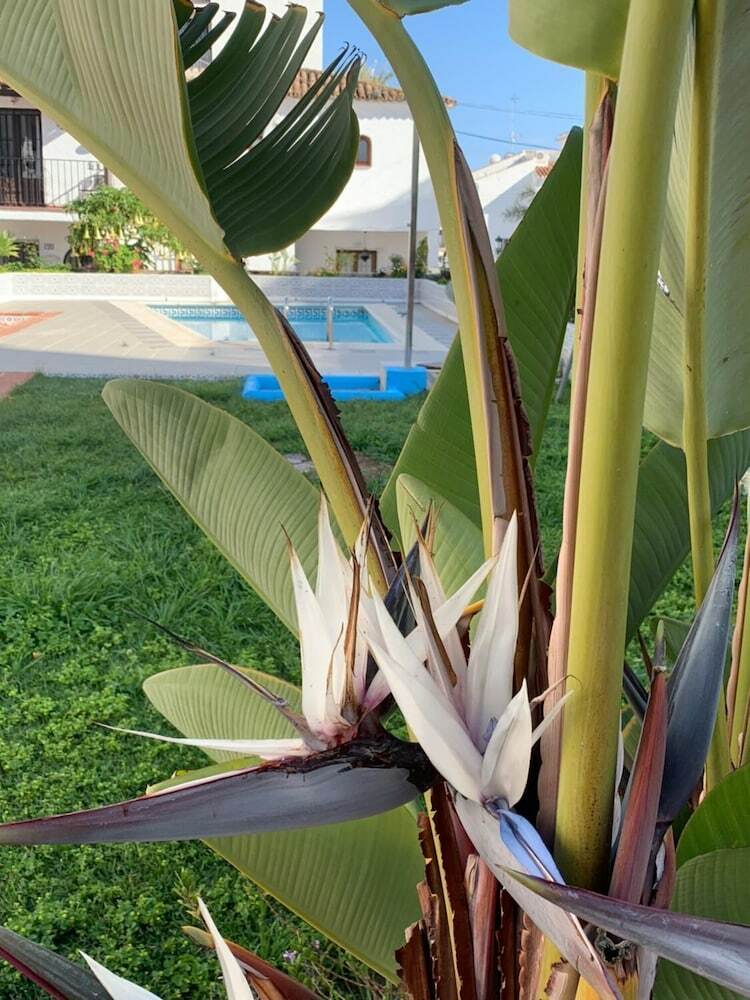 Casa Mar�a