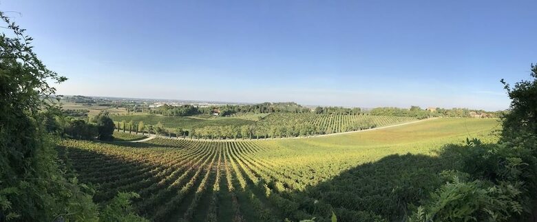 Agroturismo Fattoria Paradiso