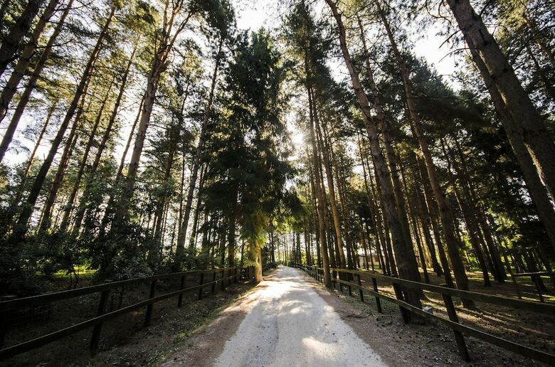 Agroturismo Parco Dei Cimini - Bioresort