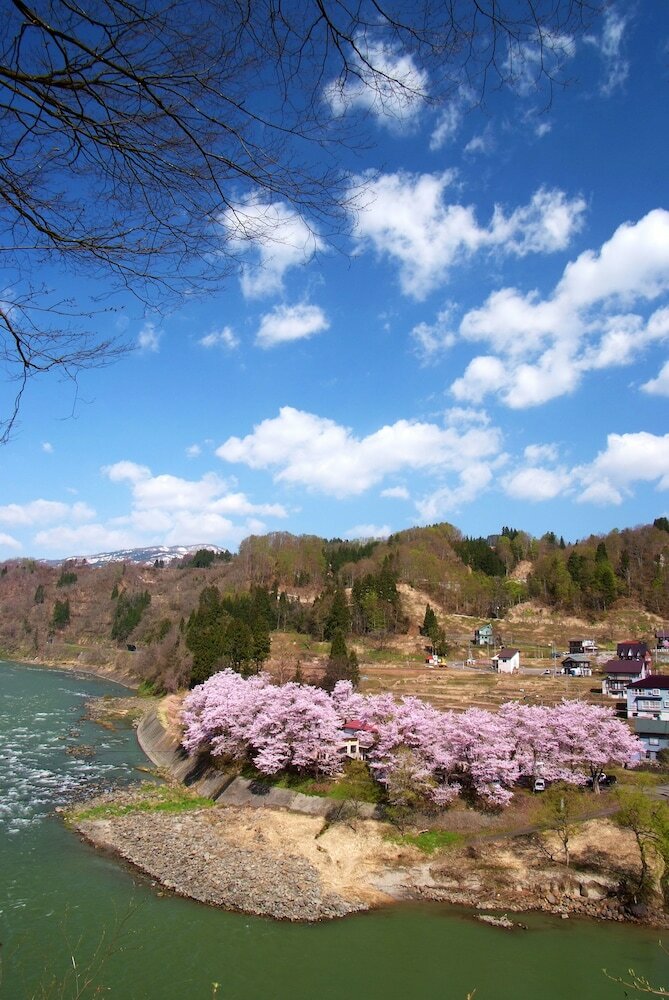 Echigo Tanaka Onsen Shinanosou