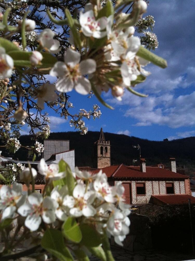Hotel Rural La Casa De Pasar�n