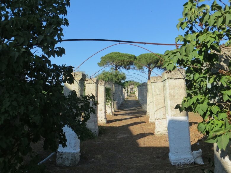 Agroturismo Agriturismo Occhineri