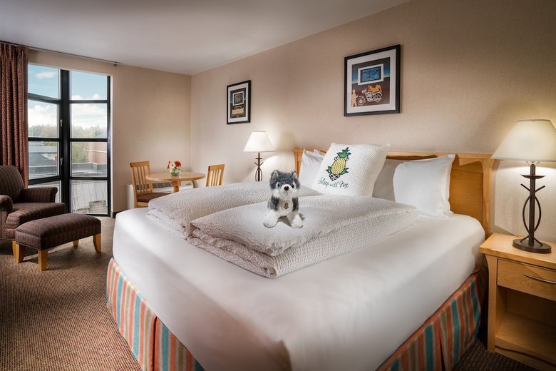 Hotel Staypineapple, University Inn, University District Seattle