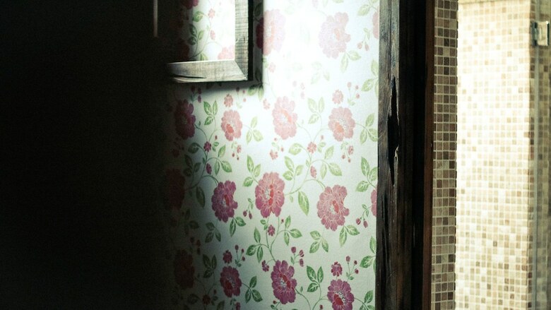 Bed & Breakfast Fanlin House
