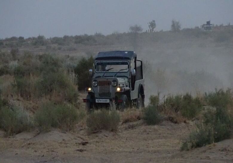Welcome Desert Camps