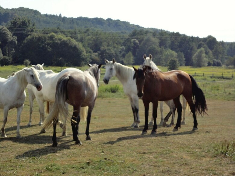 Agroturismo Kerca Bio Farm