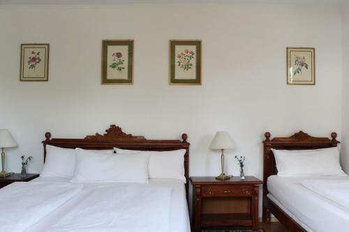 Hotel Viktoria