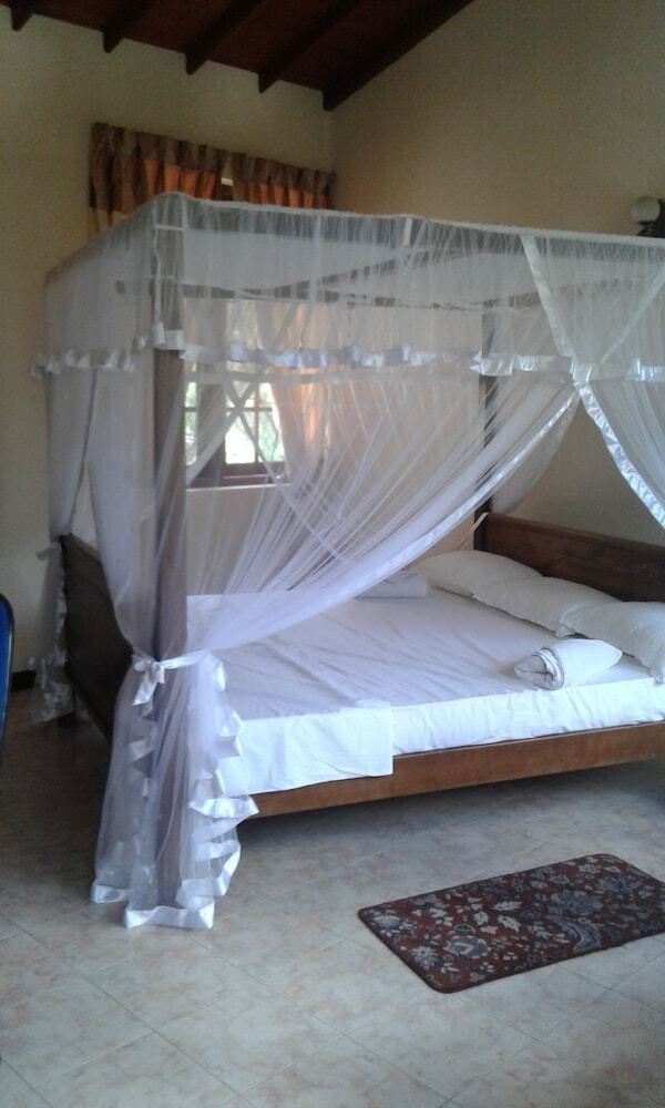 Hostal The Lotus Blue - Hostel
