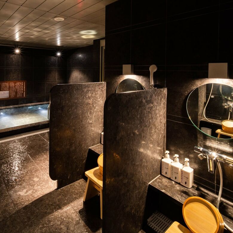 Superhotel Premier Ginza