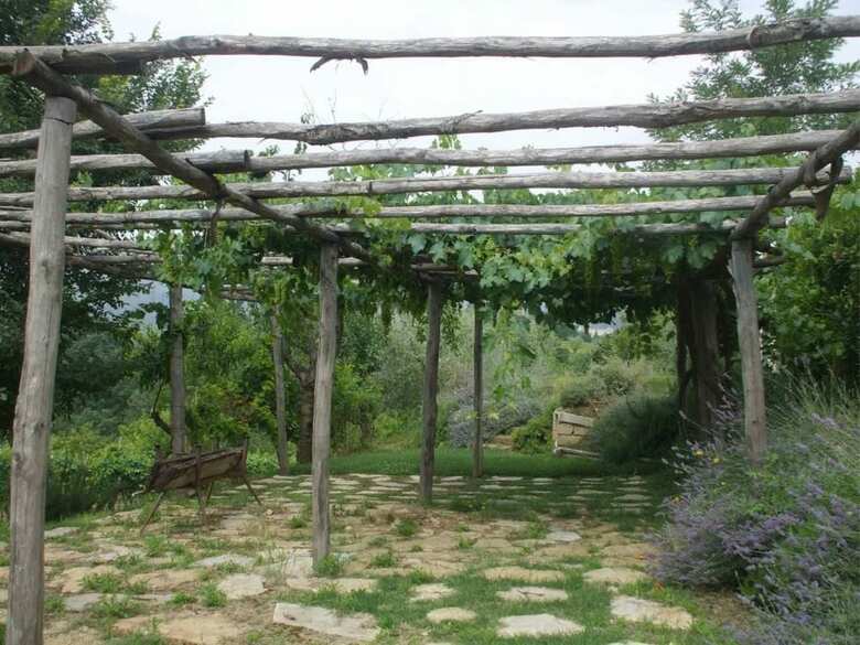 Villa Albert A Cetona
