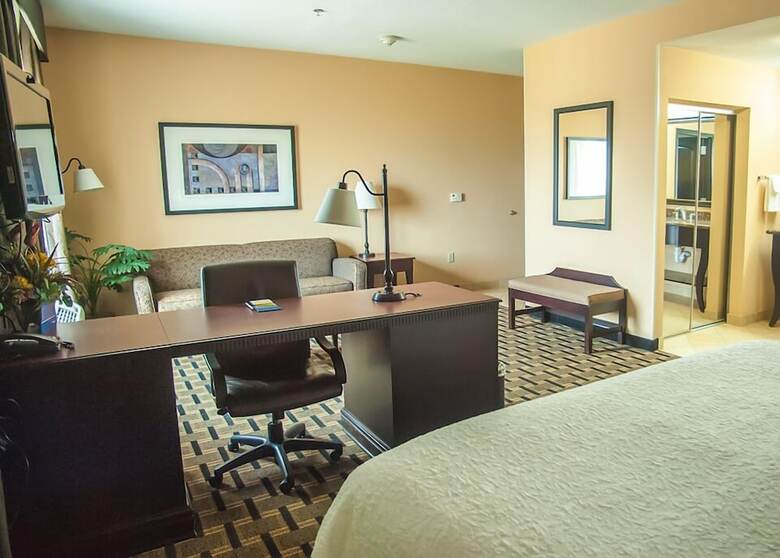 Hotel Hampton Inn & Suites Palestine