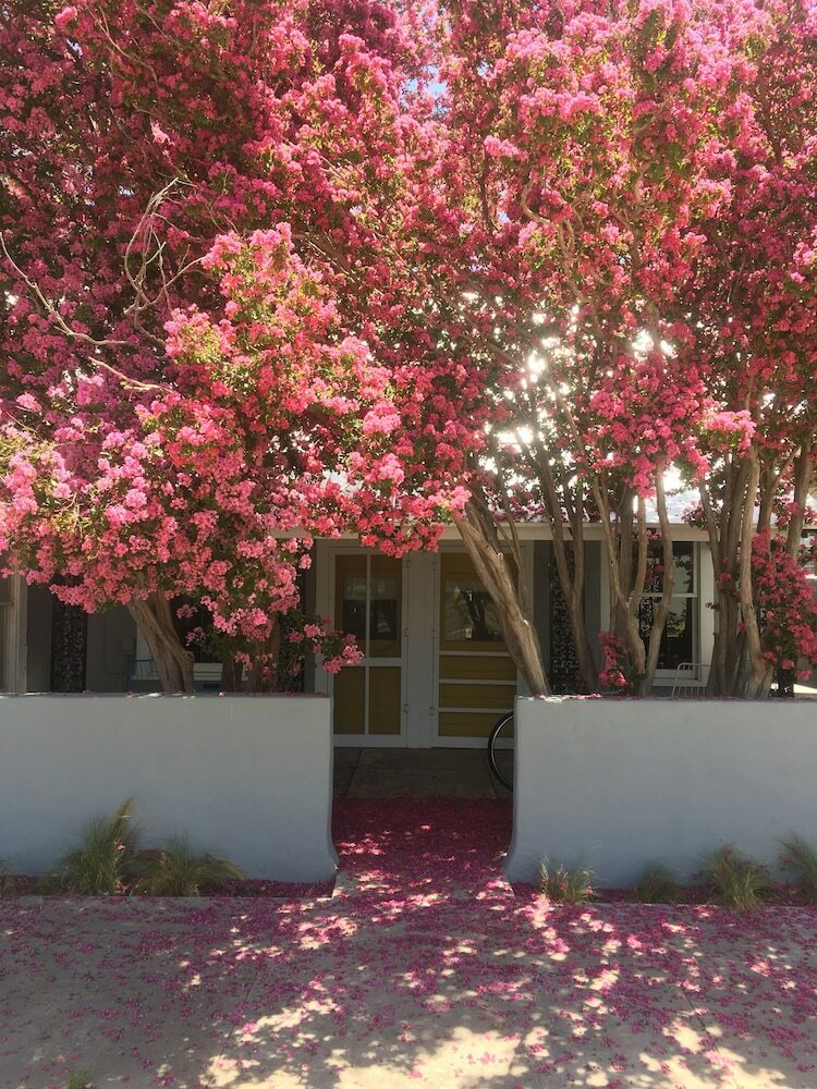 Apartamentos The Lincoln Marfa