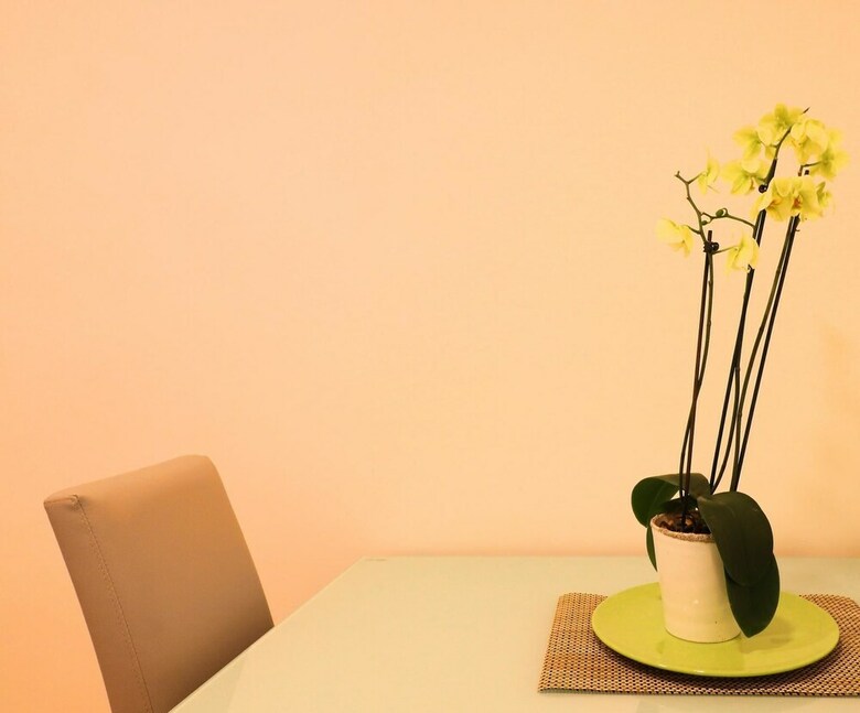Apartamento Casa Nin�