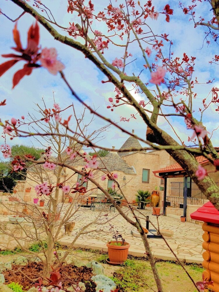 Bed  Breakfast La Rosa Dei Trulli