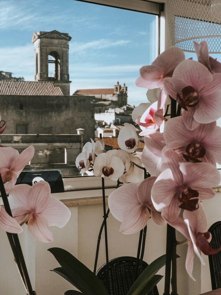 B&B Il Piccolo Attico
