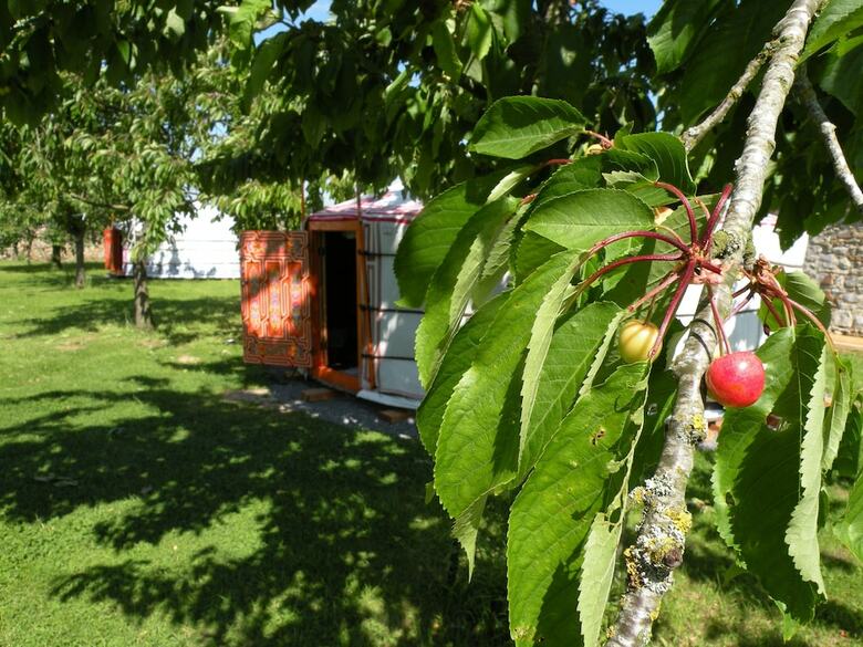 Hotel Nomade Lodge - Yourtes