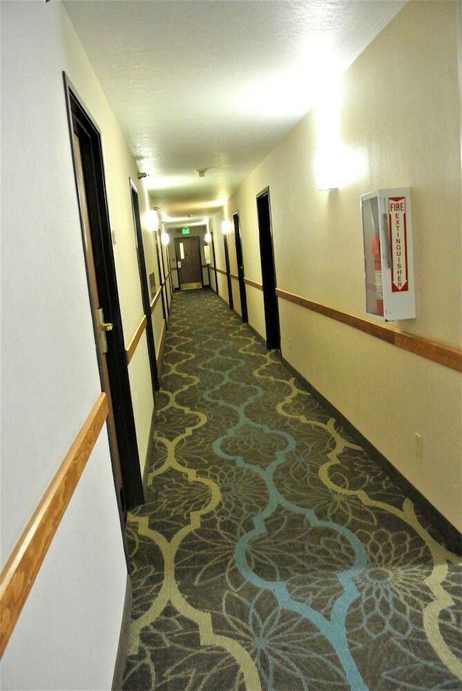 Hotel Quality Inn & Suites University