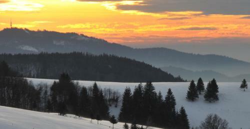 Landhotel Th�lerh�usle