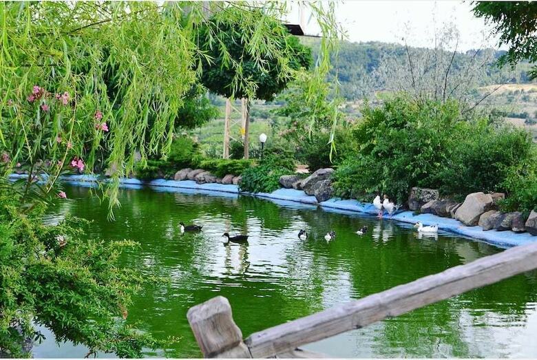 Agroturismo Obasya Kirsal Konaklama Tesisi - Special Class
