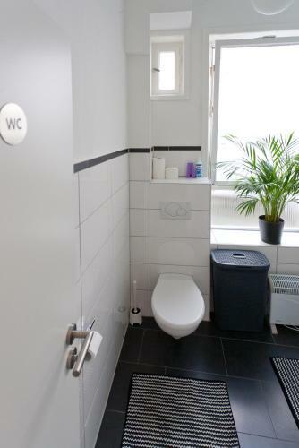 Apartamentos Elisabeth Br�u