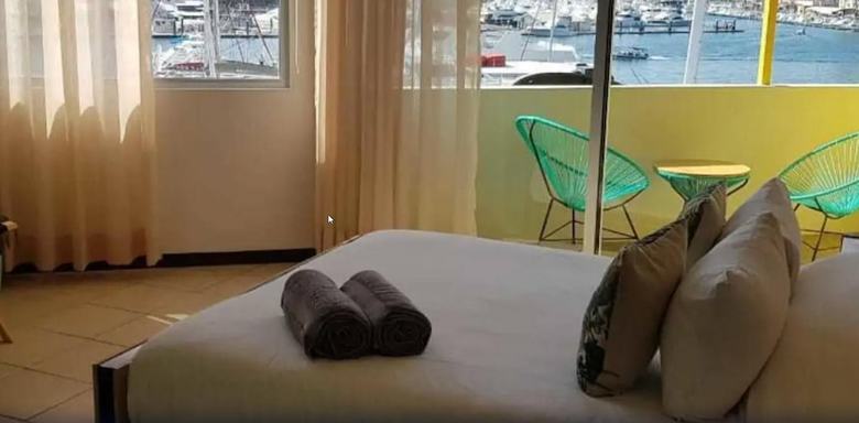 Hostal Mayan Monkey Los Cabos - Hostel - Adults Only