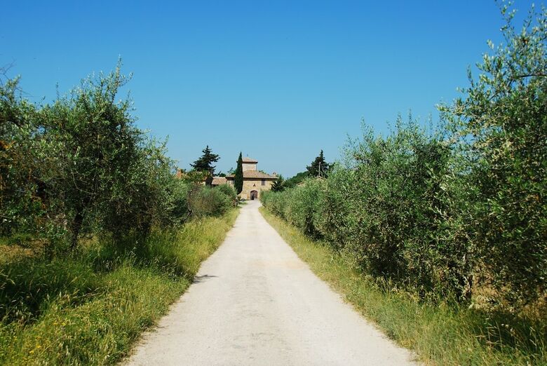 Bed & Breakfast B B Le Querciole