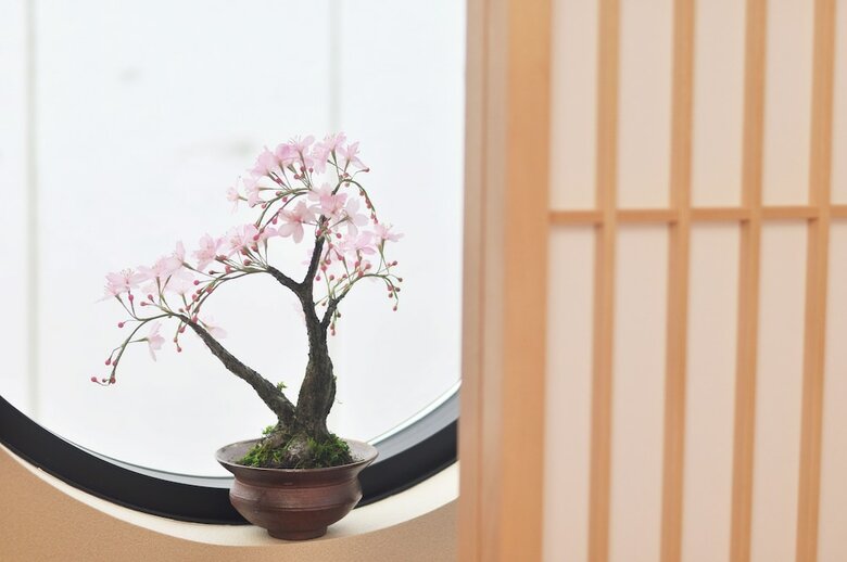 Apartamentos Shirakabanoyado-fuka