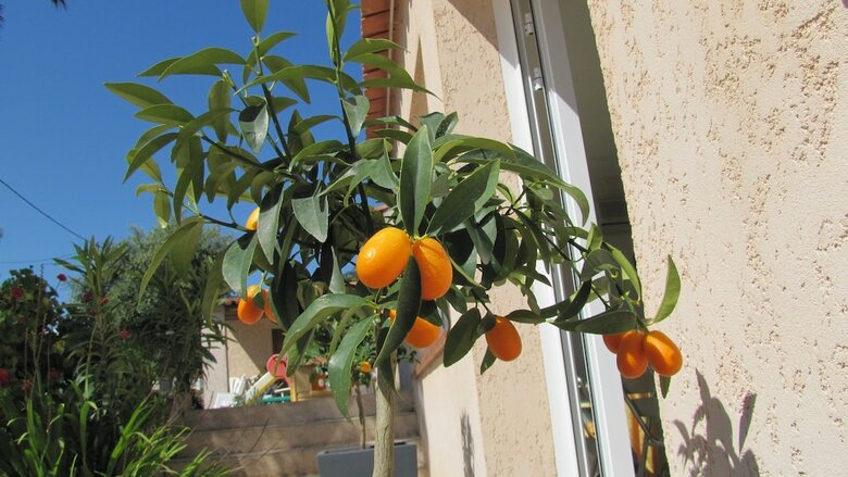 Residencia R�sidence Saint Michel