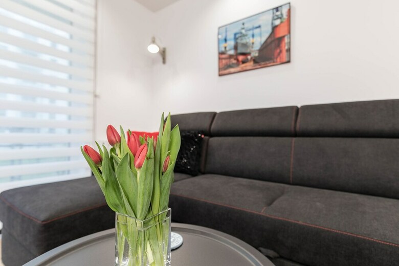 Apartamentos Flatsforrent-angielska Grobla Old Town