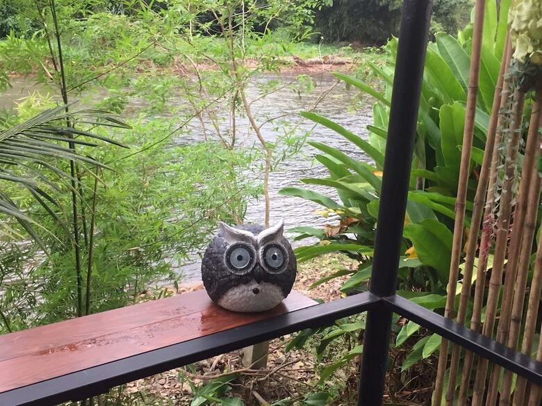 Hotel Thannam River Resort