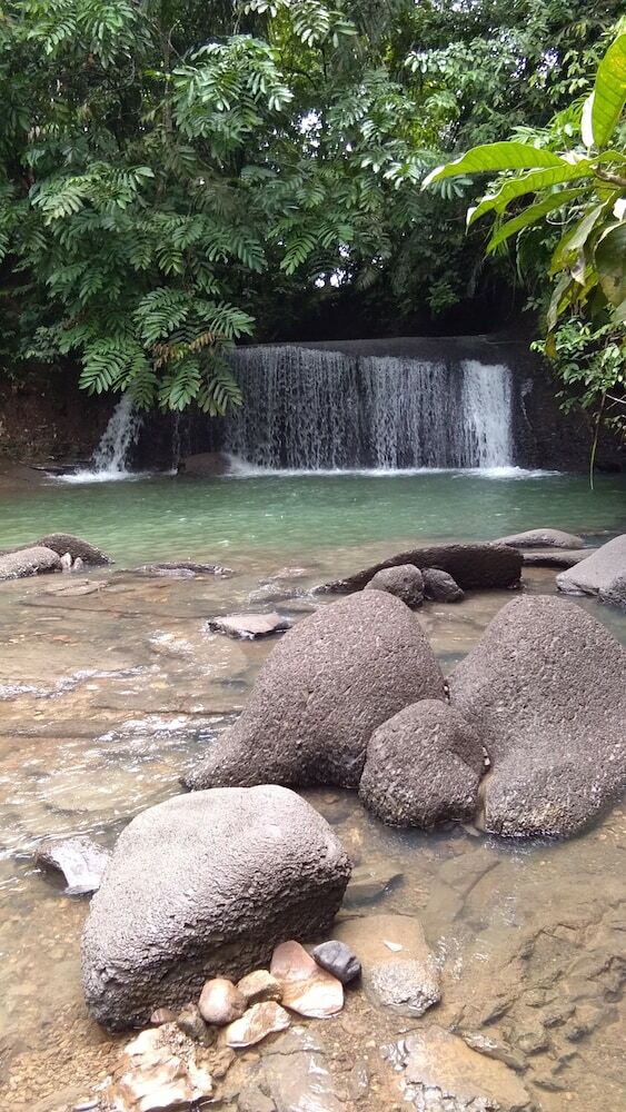 Hotel Green Forest Tangkahan