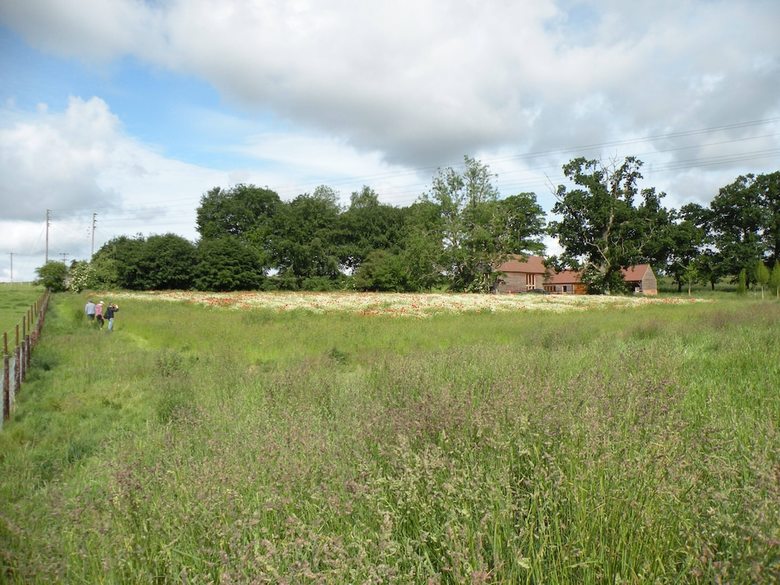 Bed & Breakfast South Park Farm Barn