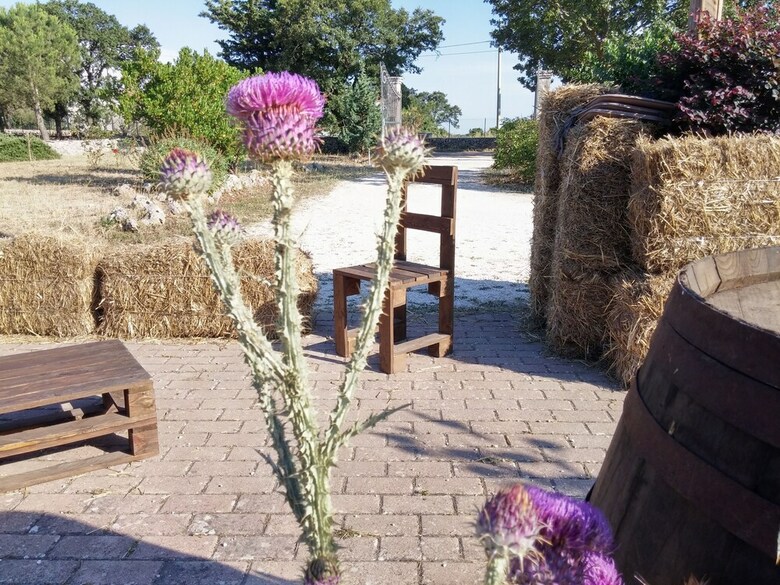 Bed & Breakfast Supramurgia Camere&caff�