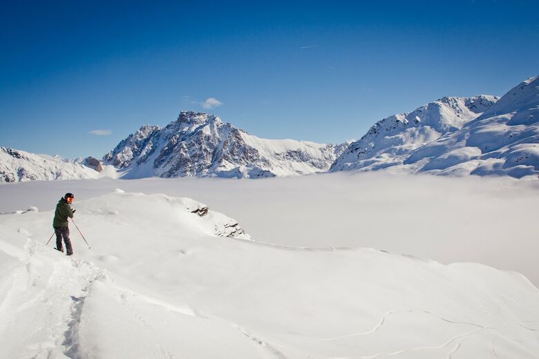 Chalet Alice Velut - Azal�e
