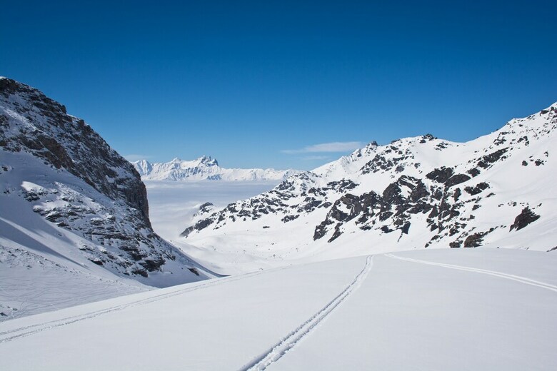 Chalet Alice Velut - Azal�e
