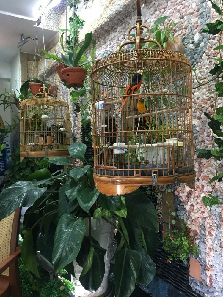 Thanh Thao Hotel