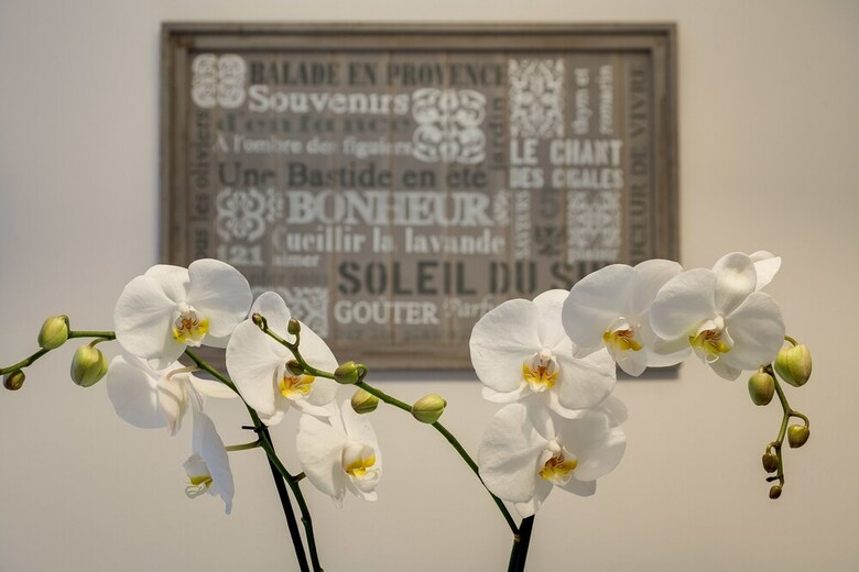 Apartamento Travel & Stay - Mirabello